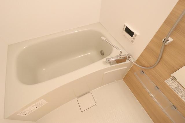 ﾛｲｼﾞｪﾝﾄﾊﾟｰｸｽ ﾚｲｸﾀｳﾝ　Ｅ（307） 部屋画像