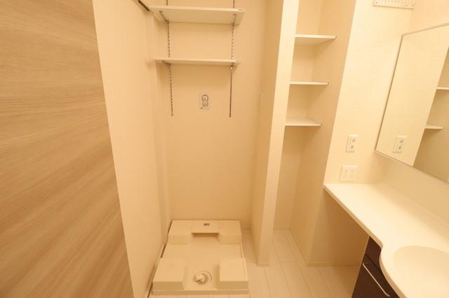ﾛｲｼﾞｪﾝﾄﾊﾟｰｸｽ ﾚｲｸﾀｳﾝ　Ｅ（307） 部屋画像