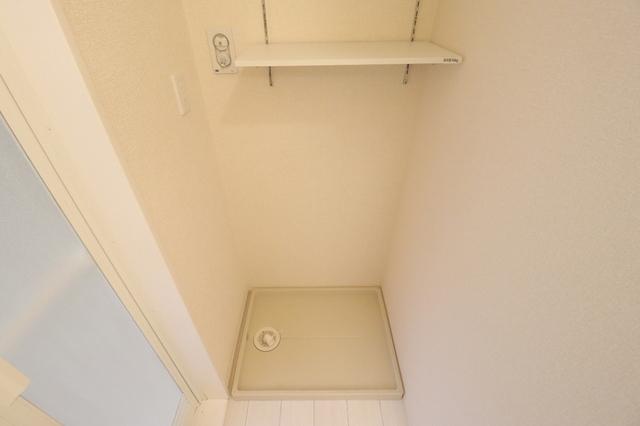 ﾛｲｼﾞｪﾝﾄﾊﾟｰｸｽ ﾚｲｸﾀｳﾝ Ⅲ　Ｉ（101） 部屋画像