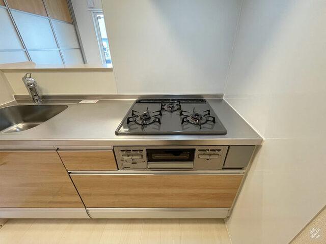 ﾛｲｼﾞｪﾝﾄﾊﾟｰｸｽ ﾚｲｸﾀｳﾝ Ⅲ　Ｆ（105） 部屋画像