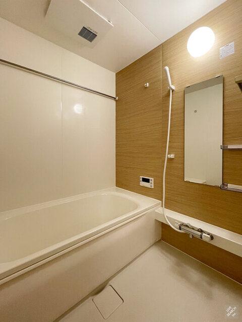 ﾛｲｼﾞｪﾝﾄﾊﾟｰｸｽ ﾚｲｸﾀｳﾝ Ⅲ　Ｆ（105） 部屋画像