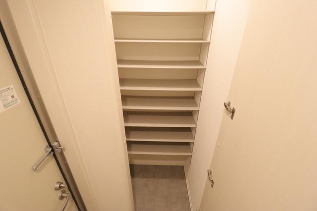 ﾛｲｼﾞｪﾝﾄﾊﾟｰｸｽ ﾚｲｸﾀｳﾝ Ⅲ　Ｋ（201） 部屋画像