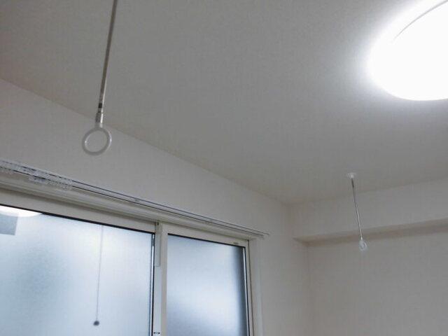 ﾛｲｼﾞｪﾝﾄﾊﾟｰｸｽ ﾚｲｸﾀｳﾝ　Ｄ（108） 部屋画像