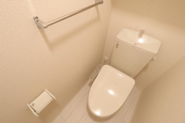 ﾛｲｼﾞｪﾝﾄﾊﾟｰｸｽ ﾚｲｸﾀｳﾝ　Ｅ（307） 部屋画像