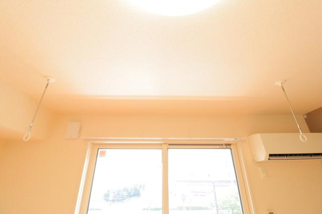 ﾛｲｼﾞｪﾝﾄﾊﾟｰｸｽ ﾚｲｸﾀｳﾝ　Ｅ（307） 部屋画像