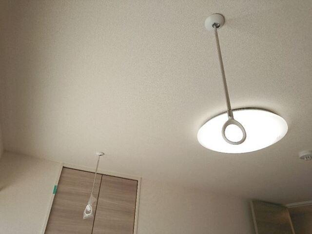 ﾛｲｼﾞｪﾝﾄﾊﾟｰｸｽ ﾚｲｸﾀｳﾝ Ⅱ　Ｍ（101） 部屋画像