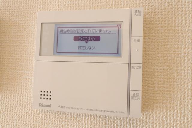 ﾛｲｼﾞｪﾝﾄﾊﾟｰｸｽ ﾚｲｸﾀｳﾝ Ⅱ　C（103） 部屋画像