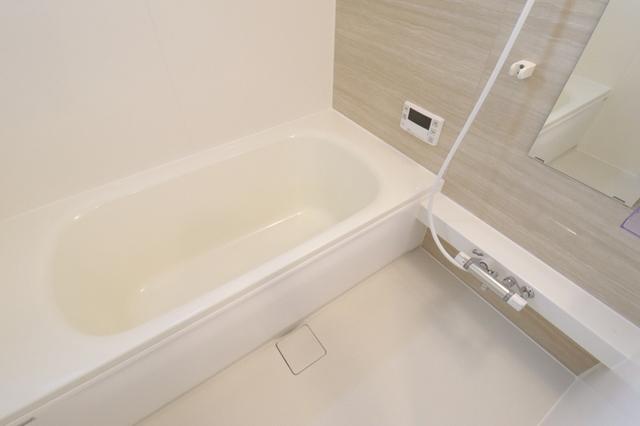 ﾛｲｼﾞｪﾝﾄﾊﾟｰｸｽ ﾚｲｸﾀｳﾝ Ⅱ　Ｌ（208） 部屋画像