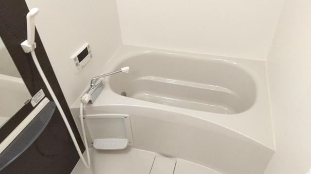 ﾛｲｼﾞｪﾝﾄﾊﾟｰｸｽ ﾚｲｸﾀｳﾝ　Ｌ（107） 部屋画像
