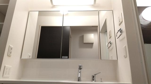 ﾛｲｼﾞｪﾝﾄﾊﾟｰｸｽ ﾚｲｸﾀｳﾝ　Ｌ（107） 部屋画像