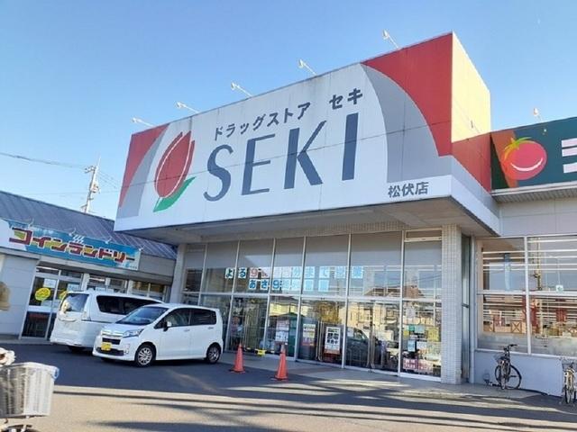 ドラッグストアセキ 松伏店：1700m