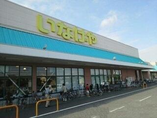 いなげや松伏ゆめみ野通り店：1551m