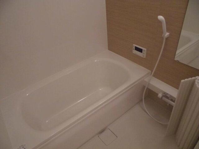 ﾛｲｼﾞｪﾝﾄﾊﾟｰｸｽ ﾚｲｸﾀｳﾝ Ⅲ　Ｅ（106） 部屋画像