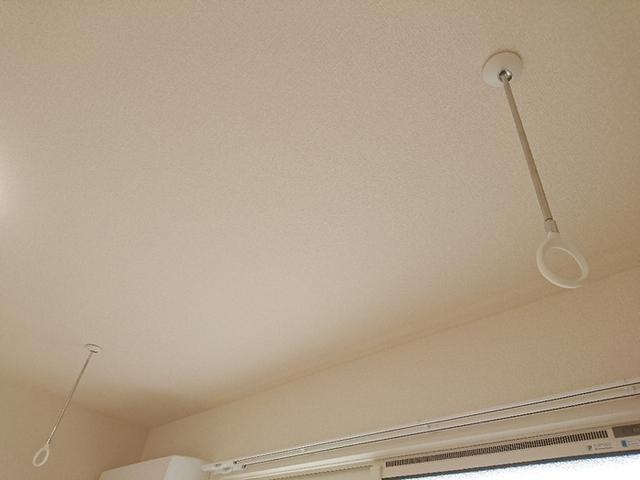 ﾛｲｼﾞｪﾝﾄﾊﾟｰｸｽ ﾚｲｸﾀｳﾝ Ⅱ　Ｌ（208） 部屋画像