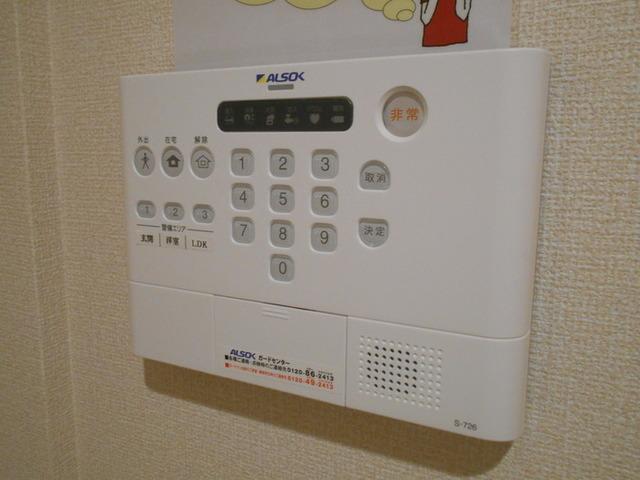 ﾛｲｼﾞｪﾝﾄﾊﾟｰｸｽ ﾚｲｸﾀｳﾝ Ⅱ　C（103） 部屋画像