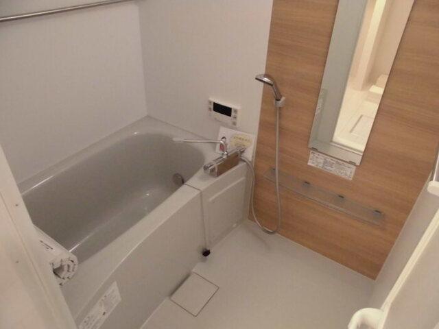ﾛｲｼﾞｪﾝﾄﾊﾟｰｸｽ ﾚｲｸﾀｳﾝ　Ｅ（307） 部屋画像