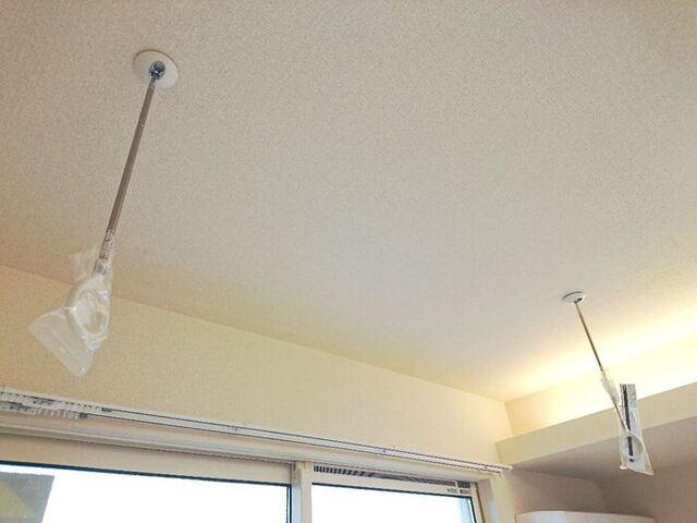 ﾛｲｼﾞｪﾝﾄﾊﾟｰｸｽ ﾚｲｸﾀｳﾝ Ⅱ　Ｌ（307） 部屋画像