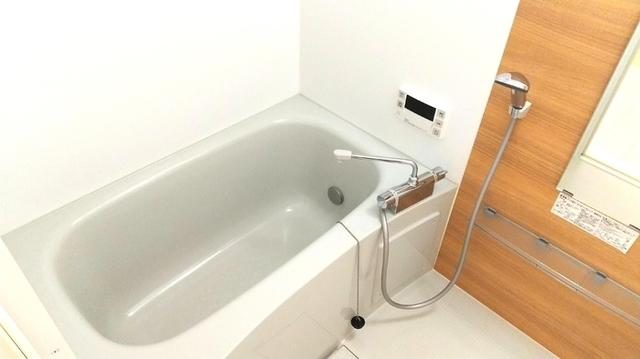 ﾛｲｼﾞｪﾝﾄﾊﾟｰｸｽ ﾚｲｸﾀｳﾝ　Ｅ（106） 部屋画像