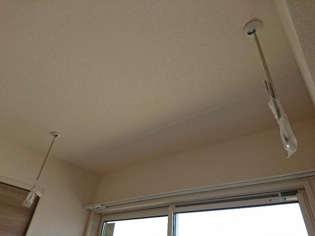 ﾛｲｼﾞｪﾝﾄﾊﾟｰｸｽ ﾚｲｸﾀｳﾝ Ⅱ　Ｍ（308） 部屋画像