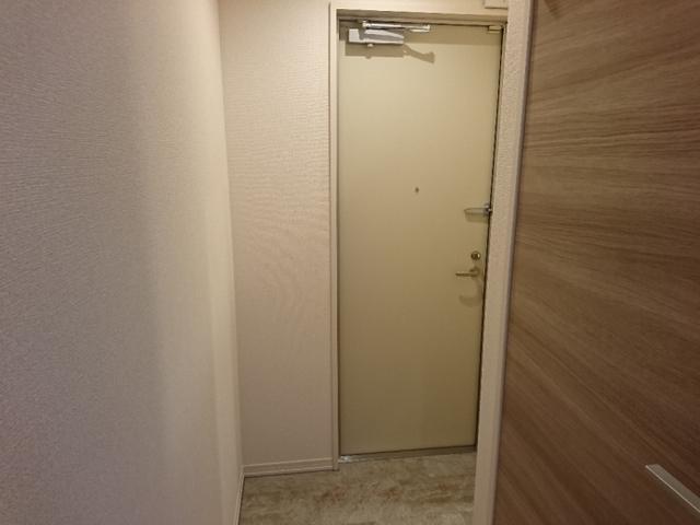 ﾛｲｼﾞｪﾝﾄﾊﾟｰｸｽ ﾚｲｸﾀｳﾝ Ⅱ　Ｍ（308） 玄関