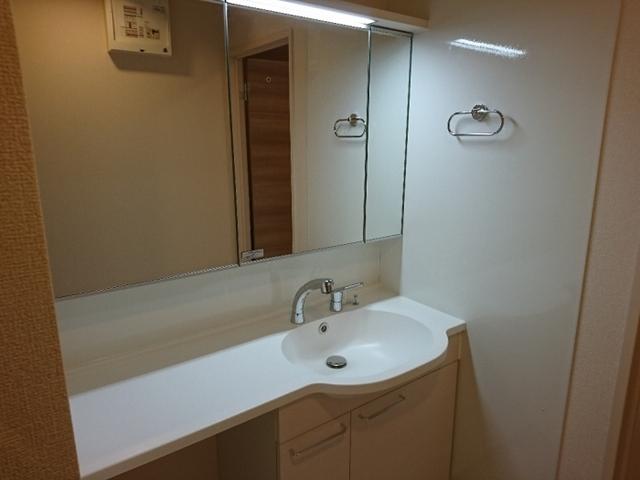 ﾛｲｼﾞｪﾝﾄﾊﾟｰｸｽ ﾚｲｸﾀｳﾝ Ⅱ　Ｍ（308） 部屋画像
