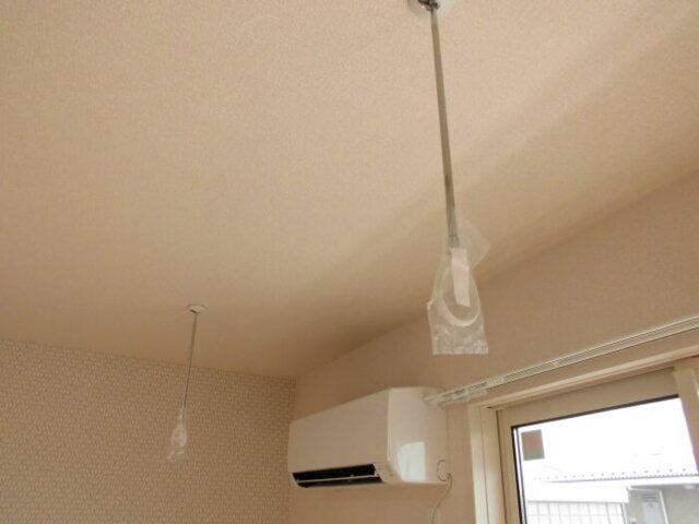 ﾛｲｼﾞｪﾝﾄﾊﾟｰｸｽ ﾚｲｸﾀｳﾝ　Ｑ（305） 部屋画像