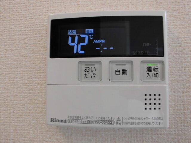 ﾛｲｼﾞｪﾝﾄﾊﾟｰｸｽ ﾚｲｸﾀｳﾝ　Ｃ（203） 部屋画像