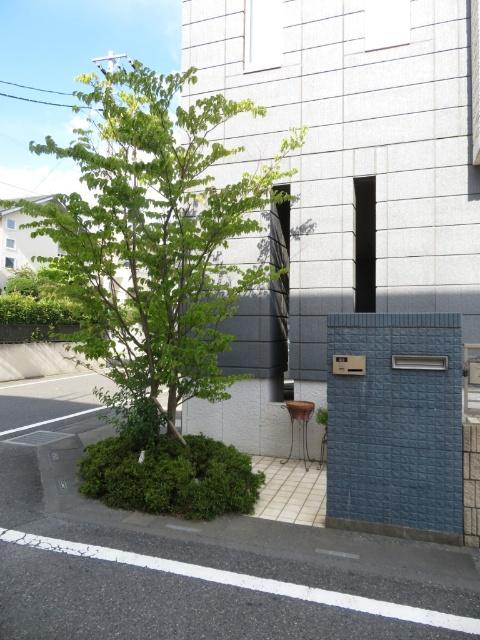 detached 美南４丁目