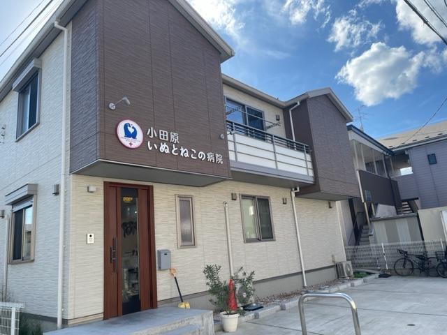 小田原いぬとねこの病院：700m