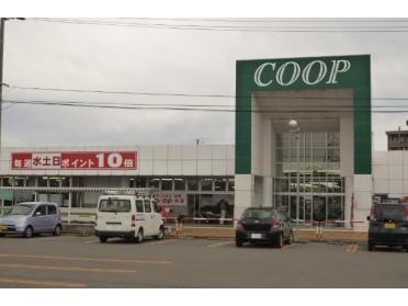 COOP茨島店：370m