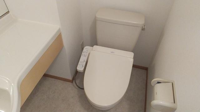 セジュールレーヌ（101） トイレ