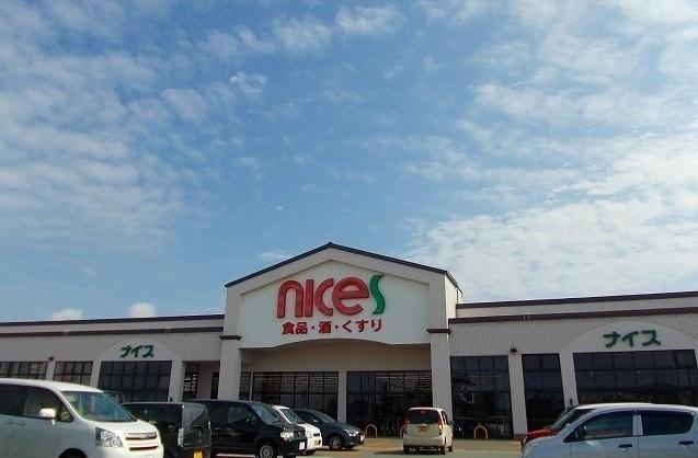 ナイス 仁井田南店：1000m