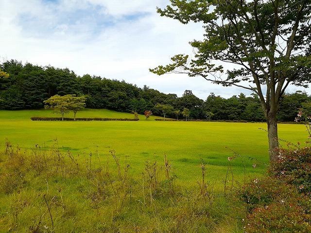 県立小泉潟公園：1062m