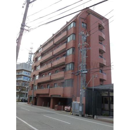 概観