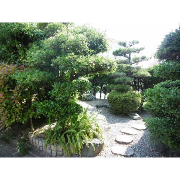 八幡1丁目H様貸家（-） 庭