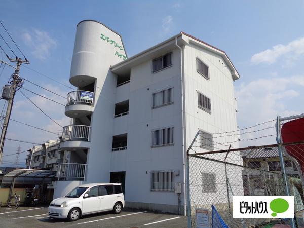 エバグリーンハイツ（322） 外観