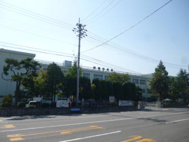 新居浜市立神郷小学校：568m