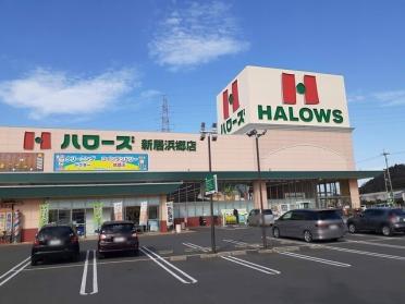 ハローズ新居浜郷店：1600m