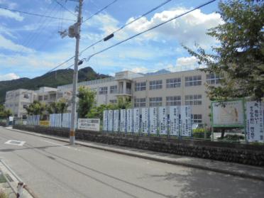 新居浜市立角野小学校：330m