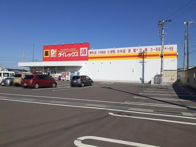 ダイレックス土橋店様：1100m