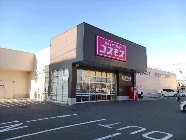 コスモス新居浜松木店：1100m