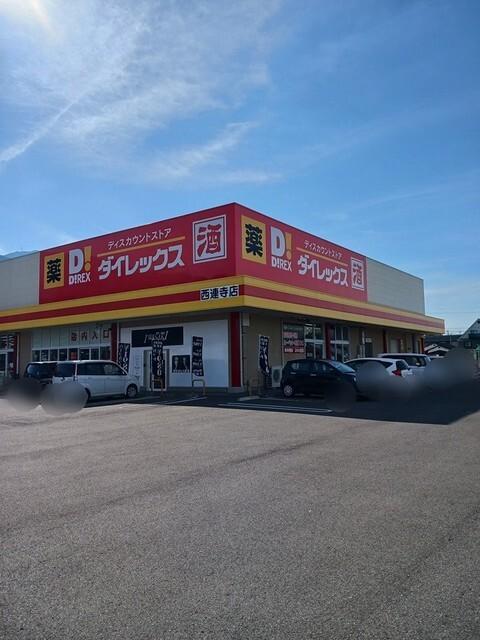ダイレックス西連寺店：900m