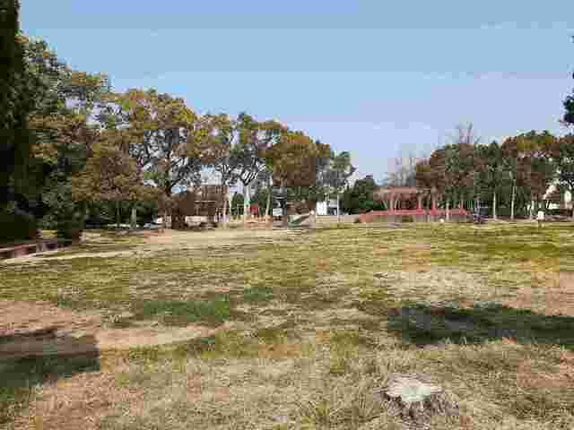松の木公園：450m