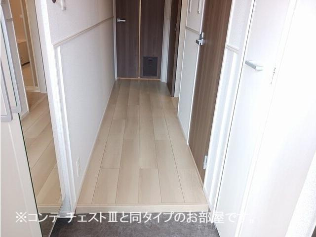 コスモステラス　イースト（304） 玄関