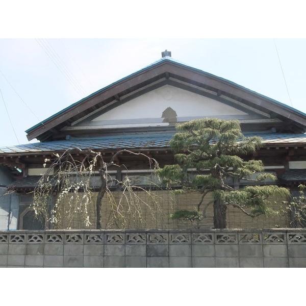 detached 大字東馬場尻