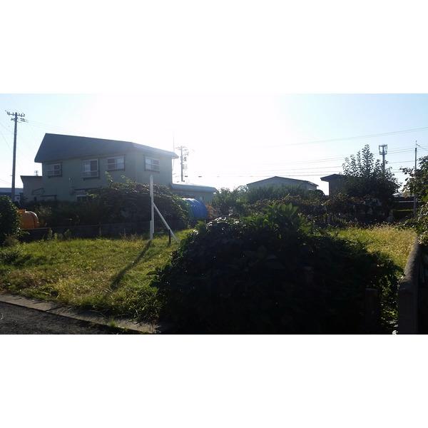 側面から