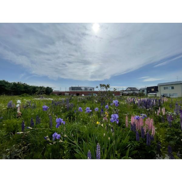 青森県青森市浪岡大字浪岡字平野