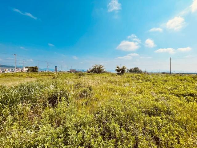 中川篠村事業用土地（上物あり） 土地画像