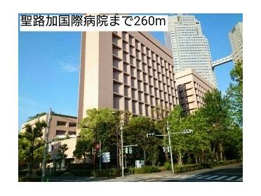 聖路加国際病院：260m