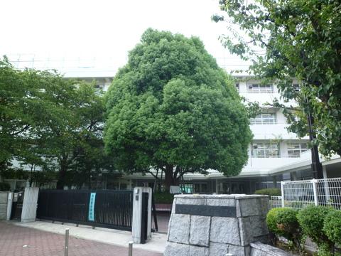 小学校